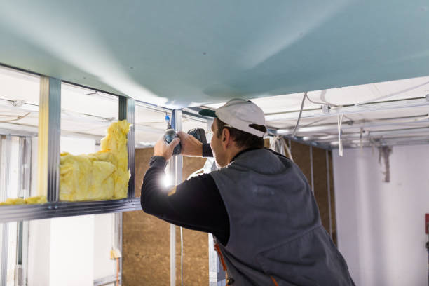 Best Cellulose Insulation in North Rock Springs, WY